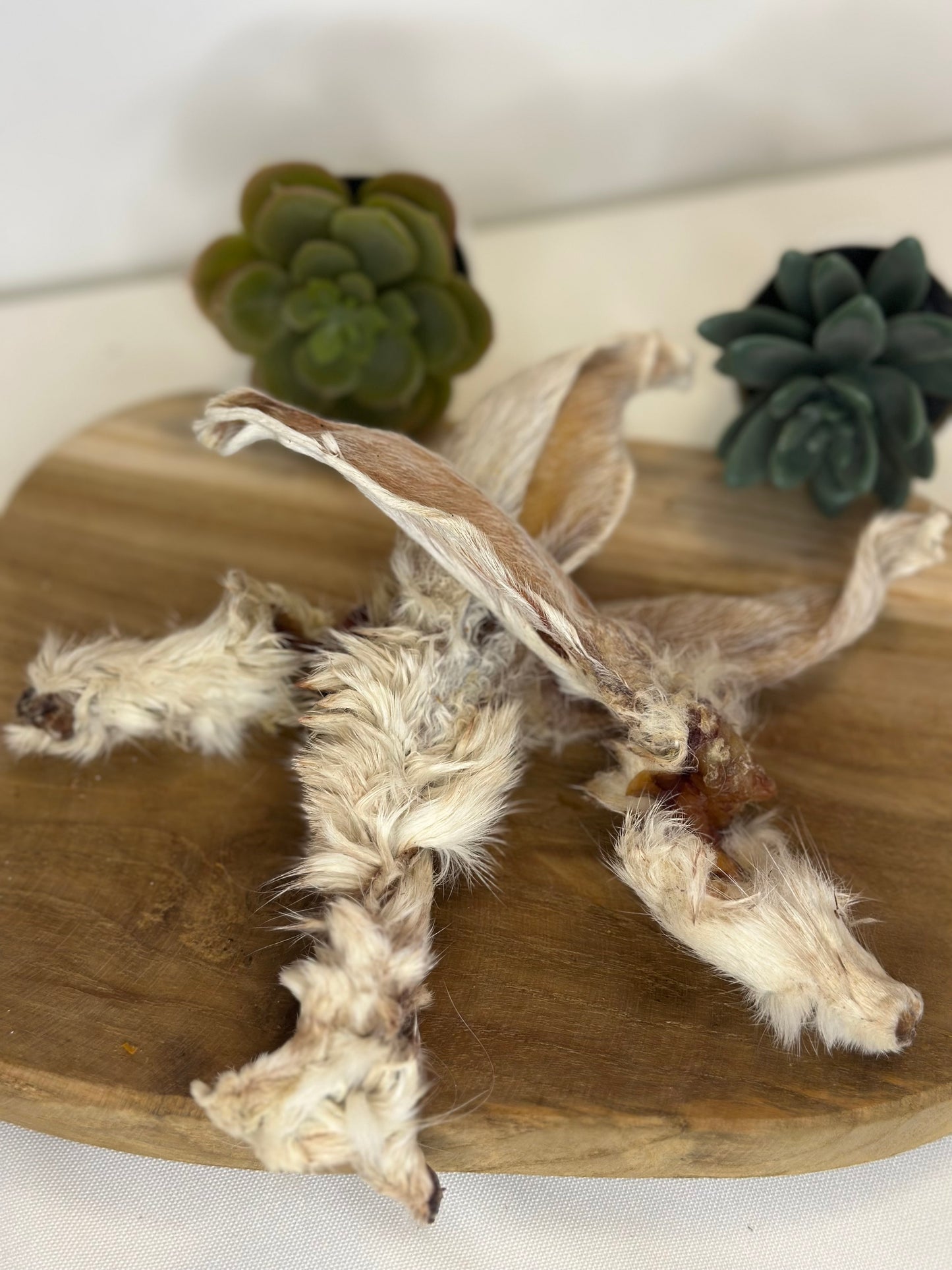 Oreilles de Lapin Séchées – Pour Chien & Chat
