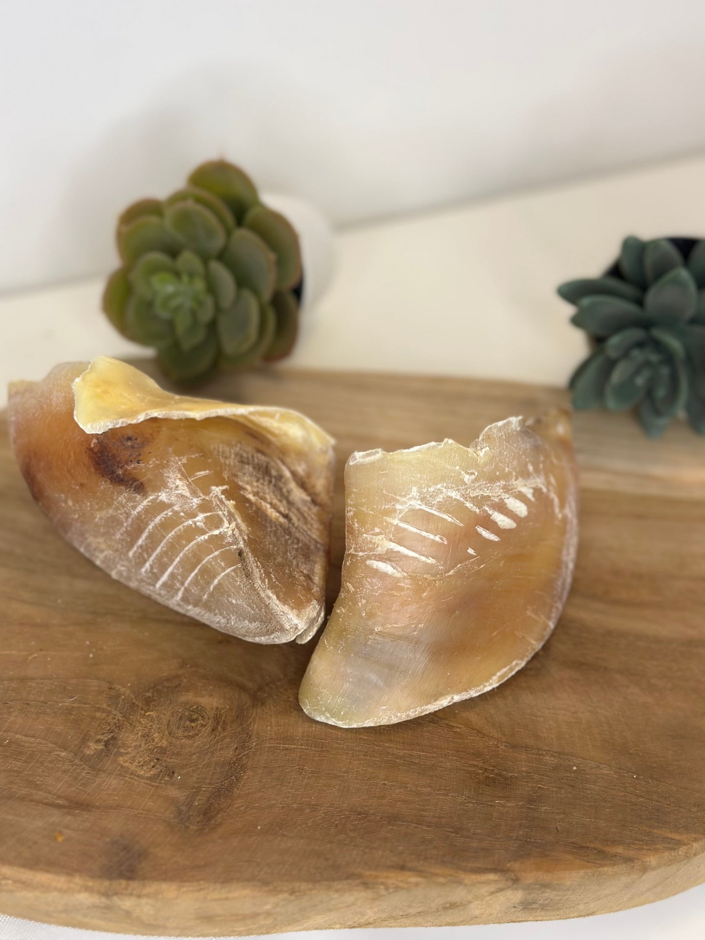Sabot de veau