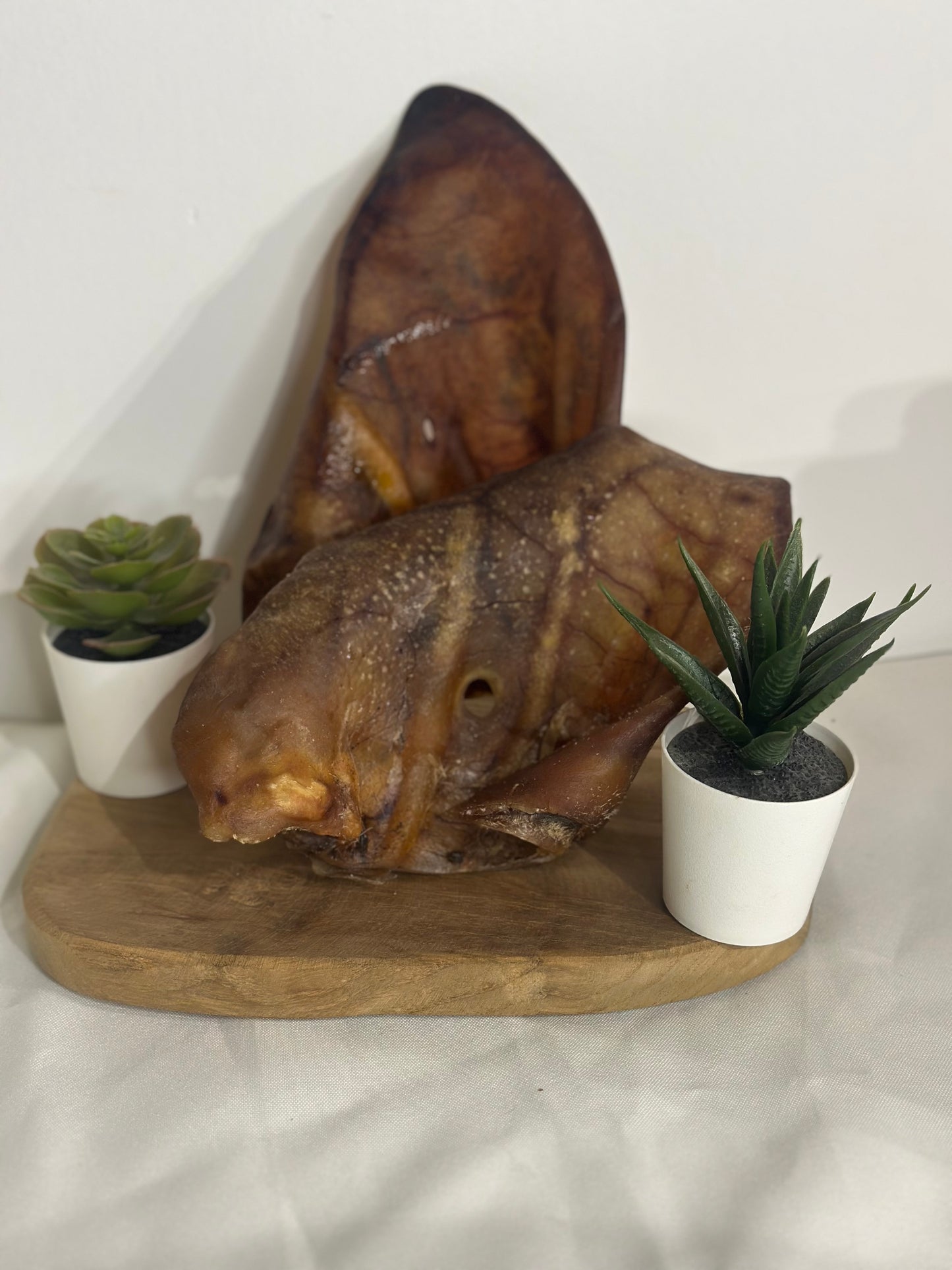 Oreille de cochon XXL