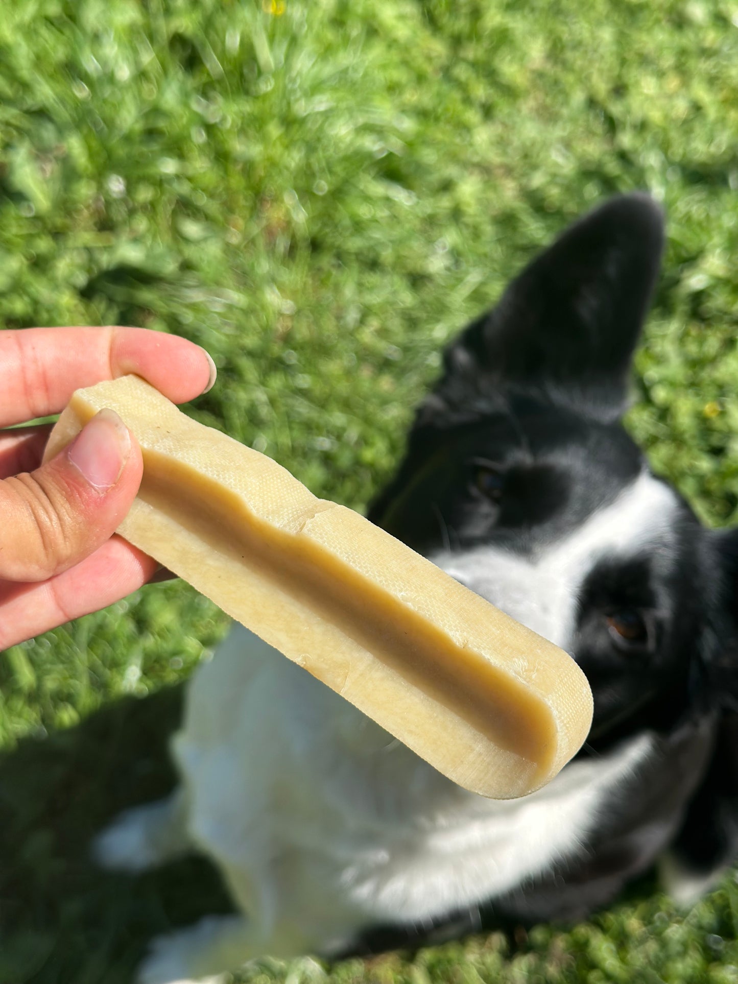 Stick de Fromage de Yak