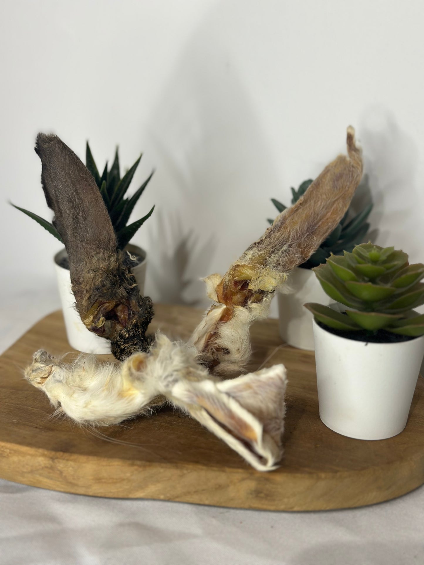 Oreilles de lapin X3