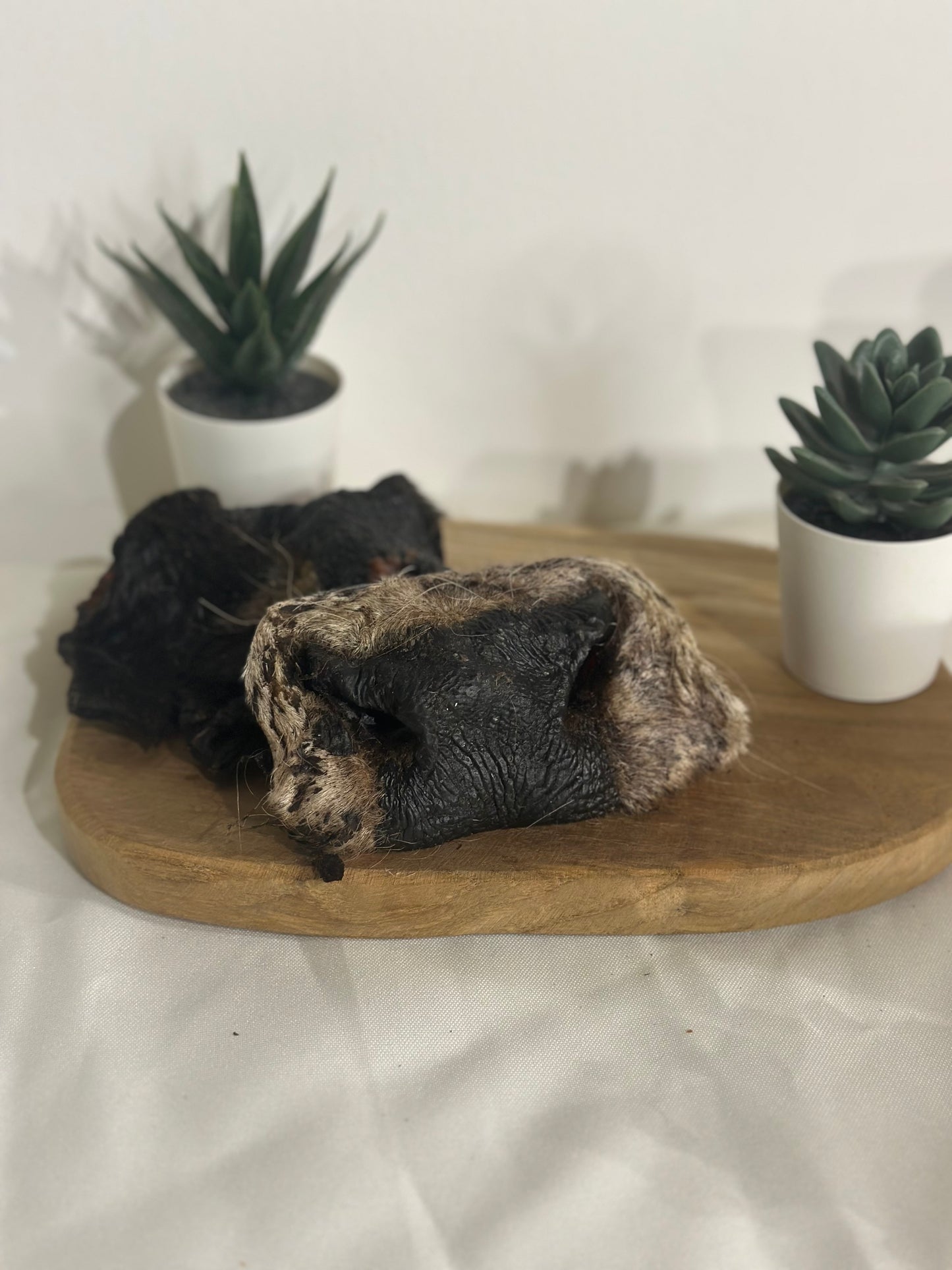 Groin de bœuf avec poils