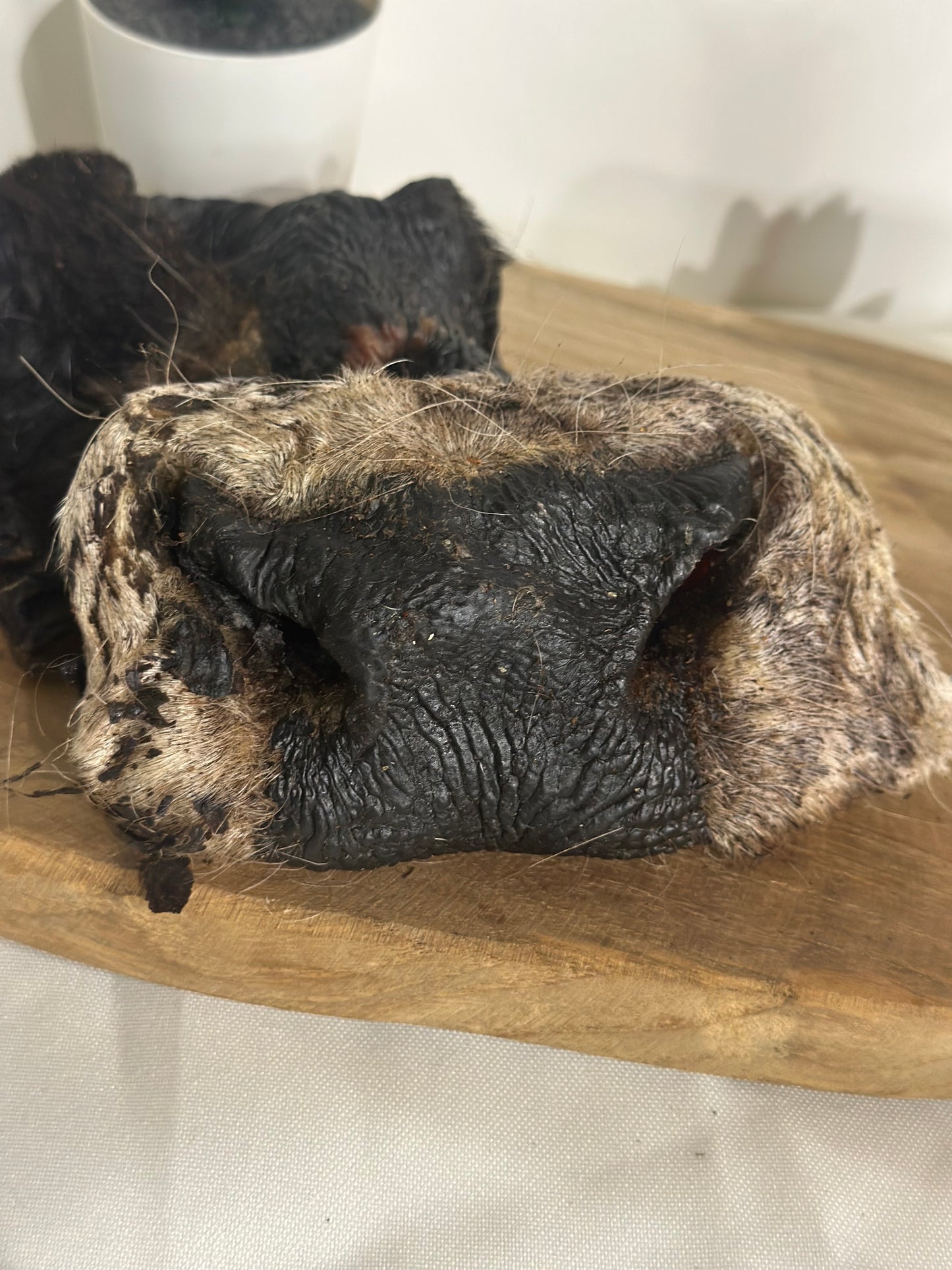 Groin de bœuf avec poils