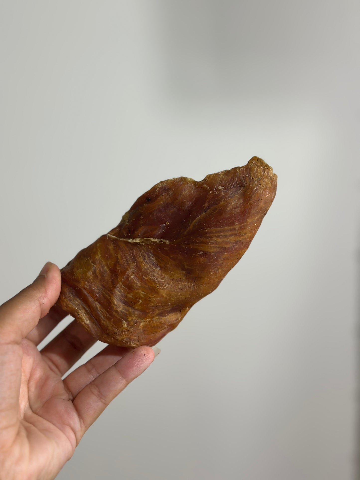 Filet de poulet